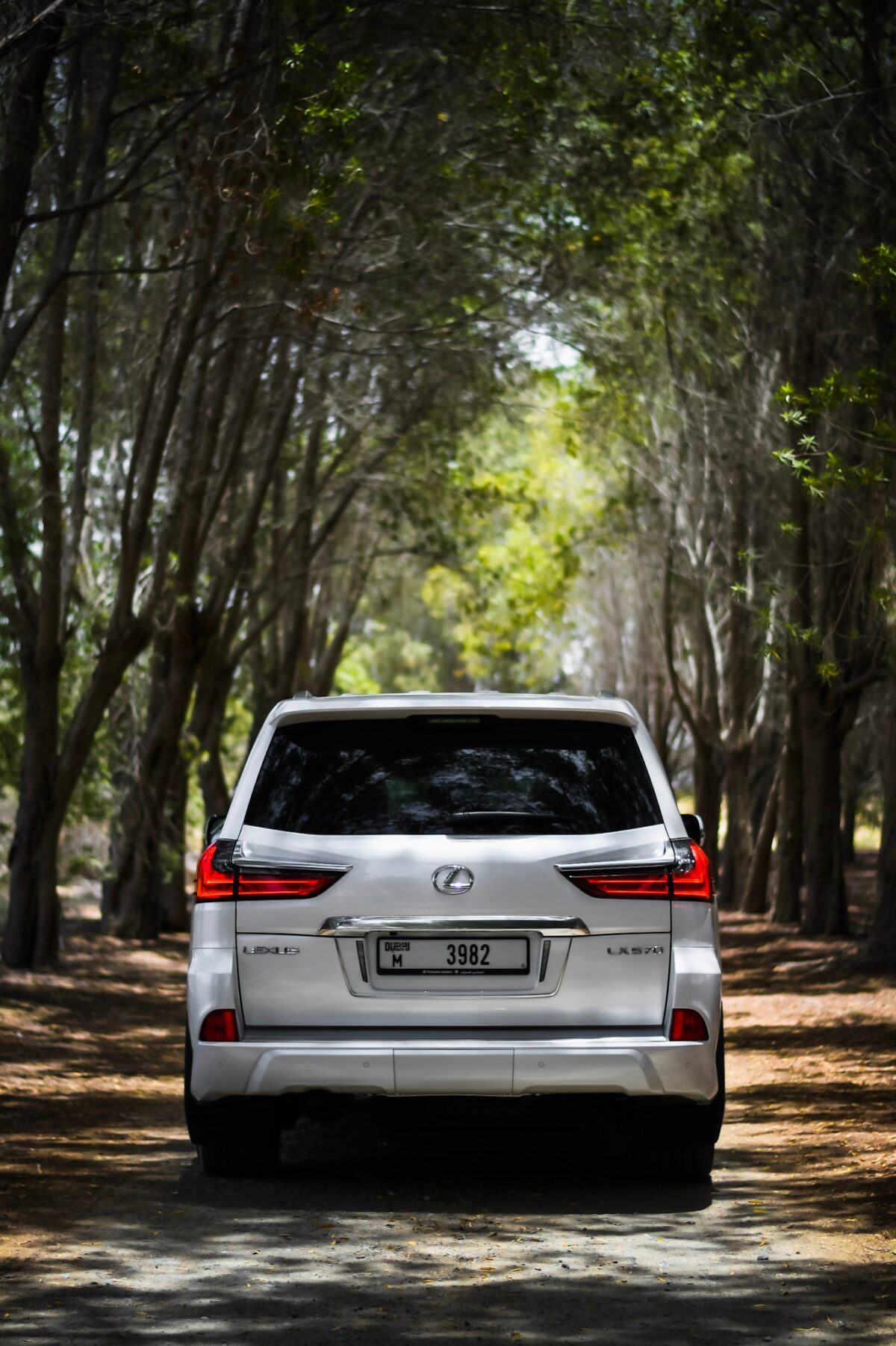 a picture of Lexus LX570 with backside view